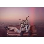 01-06-2016 - MCS Marketing - Hirschwell - 1.jpg